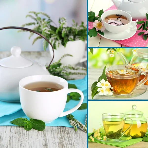 Collage di tè verde sano — Foto Stock