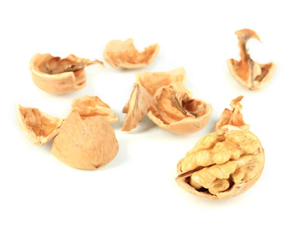 Nefunkční ořech izolovaných na bílém — Stock fotografie