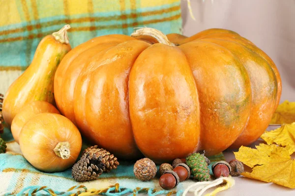 Ripe pumpkins on fabric background — Stock Photo, Image