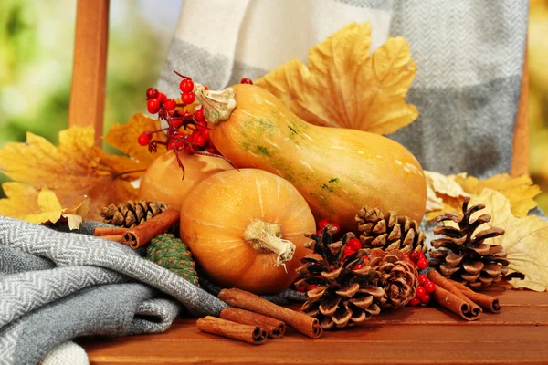 Ripe pumpkins on chair on natural background — Stock Photo, Image