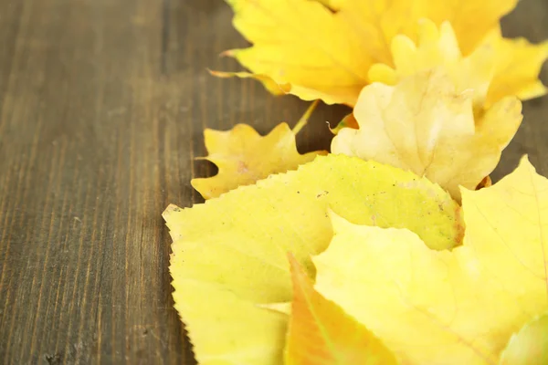 Bright autumn leafs on wooden table — Stock Photo, Image