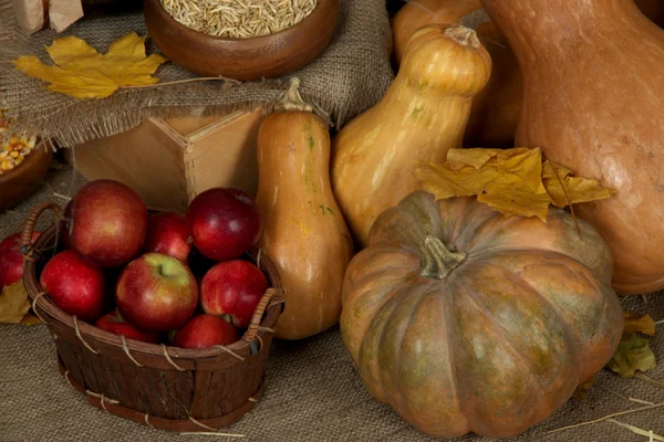 Obst und Gemüse und Körnerschalen auf Sacktuch aus nächster Nähe — Stockfoto