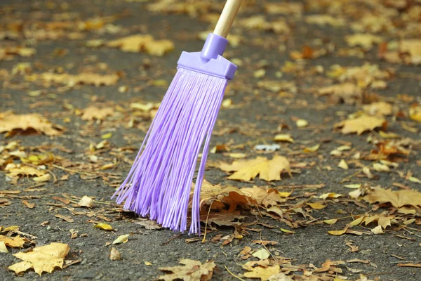 Cleaning of autumn leaves in park — Stock Photo, Image