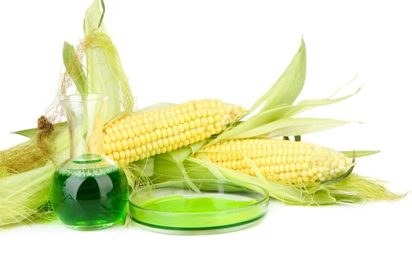 Conceptual photo of bio fuel from corn. Isolated on white — Stock Photo, Image