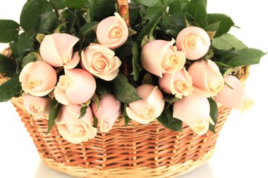 Güzel beyaz izole gül sepeti, buket