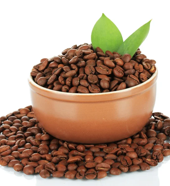Kaffebönor i skål isolerad på vit — Stockfoto