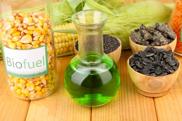Foto concettuale di biocarburante. Sullo sfondo luminoso — Foto Stock