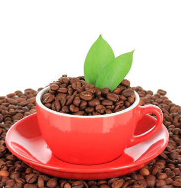 kahve çekirdekleri fincan beyaz zemin üzerine