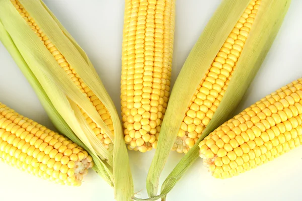 Crude corns isolated on white — Stock Photo, Image