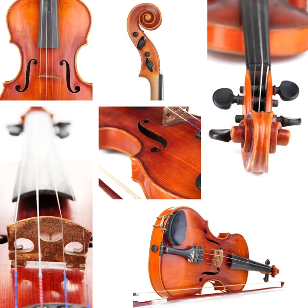 古典小提琴的拼贴画 — 图库照片