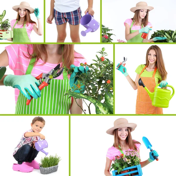 Gardening theme — Stock Photo, Image