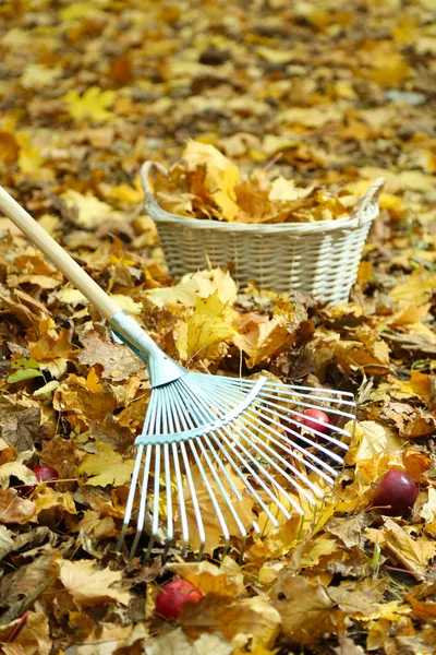 Czyszczenie jesień liści w parku — Zdjęcie stockowe