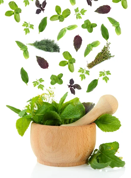 Herbs falling into mortar, isolated on white — Stock Photo, Image