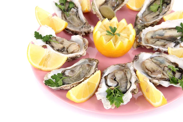 Oesters geïsoleerd op wit — Stockfoto