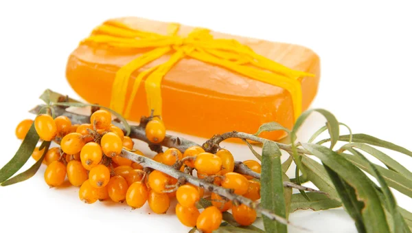 Branches of sea buckthorn with soap isolated on white — Stock Photo, Image