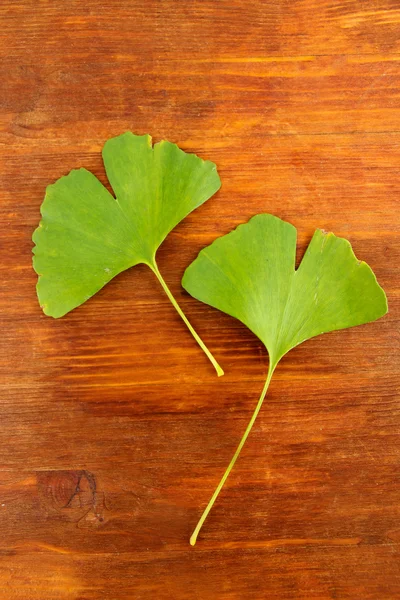 Ginkgo biloba listy na dřevěné pozadí — Stock fotografie