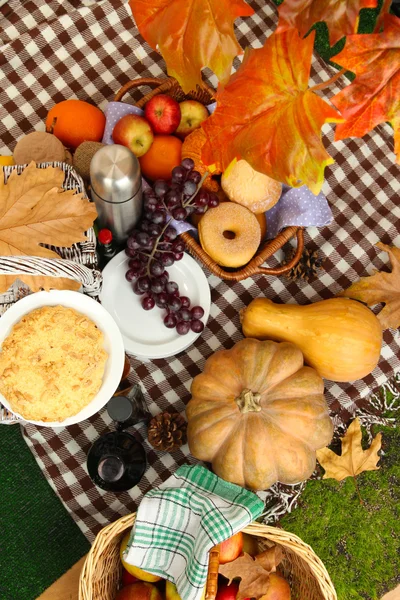 Picnic al aire libre de cerca — Foto de Stock