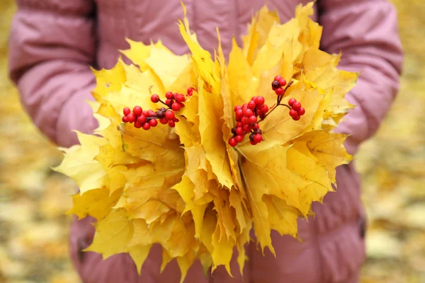 Gele bladeren in handen — Stockfoto