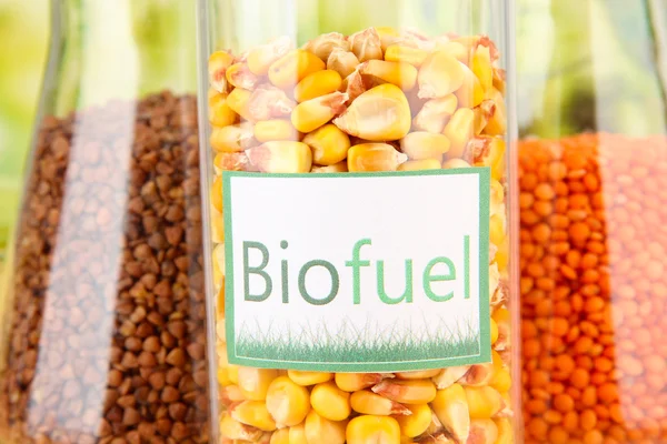 Биотопливо в колбах — стоковое фото