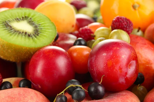 Sortiment av saftiga frukter bakgrund — Stockfoto