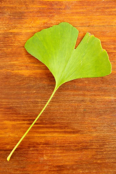 Ginkgo biloba hoja sobre fondo de madera — Foto de Stock