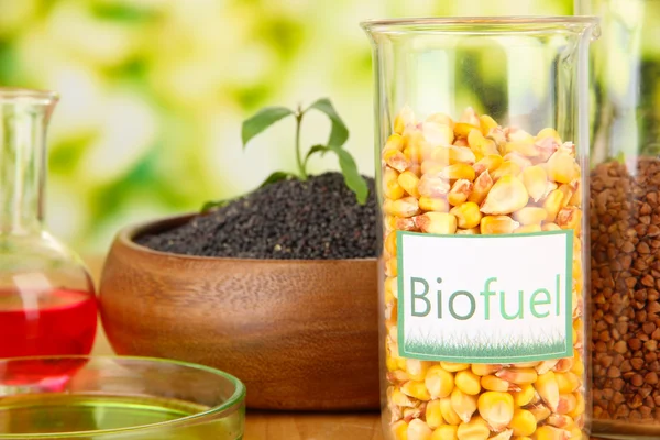 Conceptual photo of bio fuel. On bright background — Stock Photo, Image