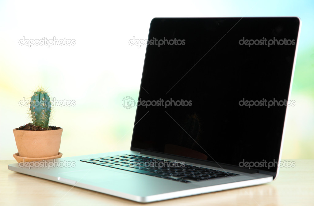 Laptop and cactus in flowerpot