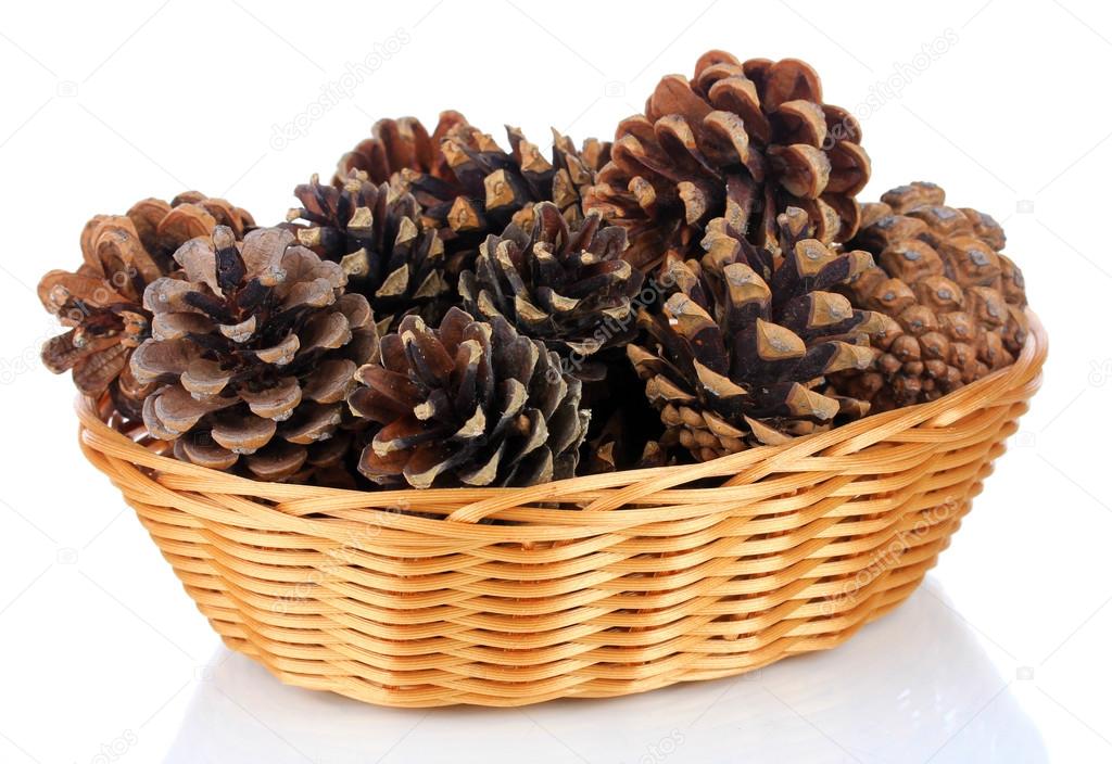 Beautiful pine cones in wicker basket isolated on white