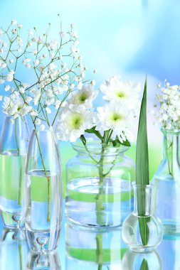 doğal zemin üzerine çeşitli Cam kaplarda bitkiler