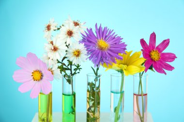 test tüpleri üzerine açık mavi renkli çiçekler