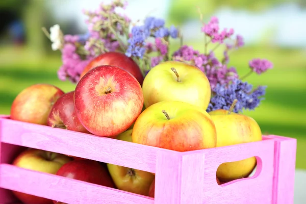 Сочные яблоки в коробке на естественном фоне — стоковое фото