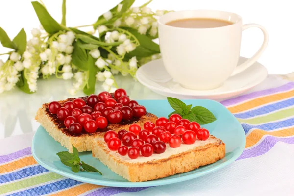 Delicious toast with cranberries on plate close-up — Stock Photo, Image