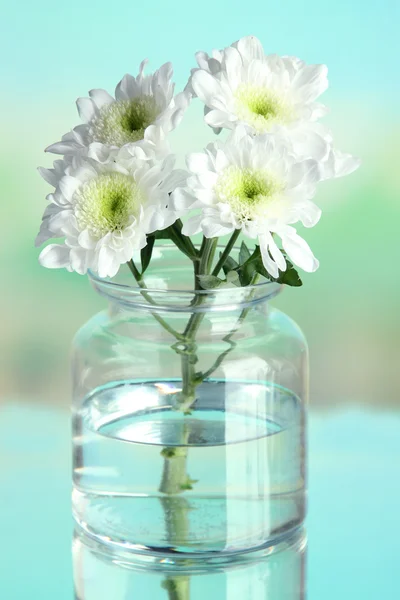 Flowers in bank on natural background — Stock Photo, Image