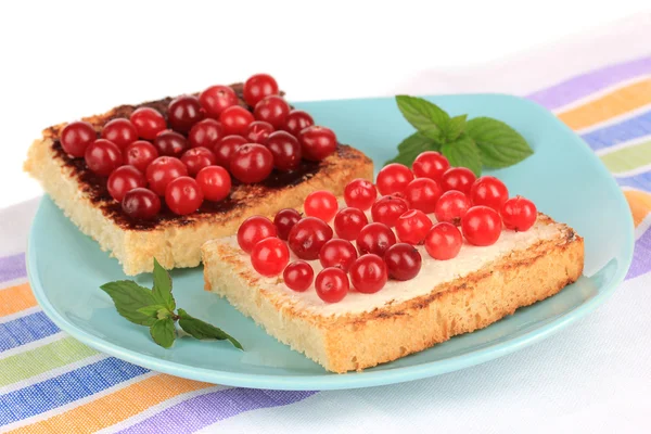 Cranberries plaka yakın çekim üzerinde lezzetli ekmek — Stok fotoğraf