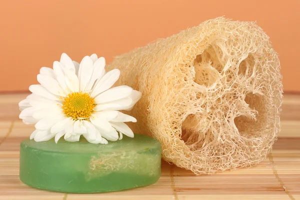 Loofah on color background — Stock Photo, Image