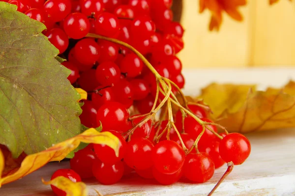 Red berries of viburnum with yellow leaves on table close up — Stock Photo, Image