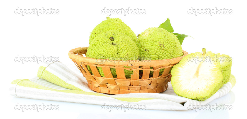Osage Orange fruits (Maclura pomifera) in basket, isolated on white