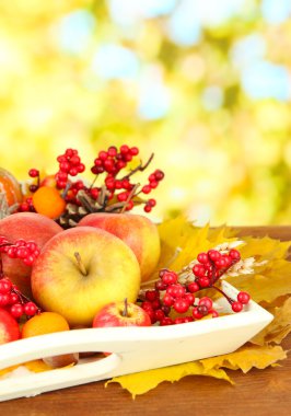 doğa arka plan üzerinde güzel sonbahar kompozisyon