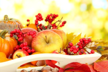 doğa arka plan üzerinde güzel sonbahar kompozisyon