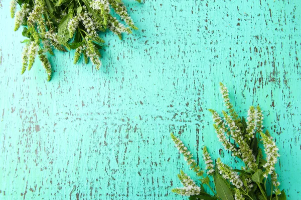 青い木製の背景に新鮮なミントの花 — ストック写真