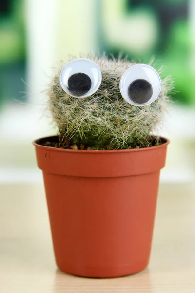 Cacto engraçado com olhos no peitoril da janela de madeira — Fotografia de Stock