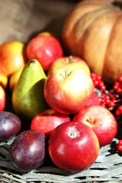 Composition automnale des fruits et des citrouilles sur table close-up — Photo