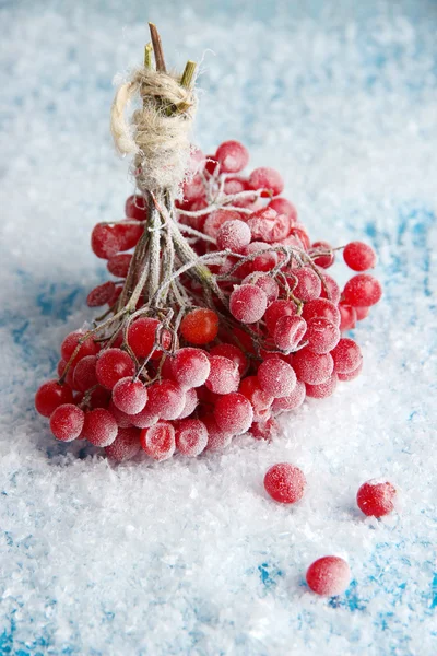 Baies rouges de viorne avec cristaux de glace, sur fond bleu — Photo