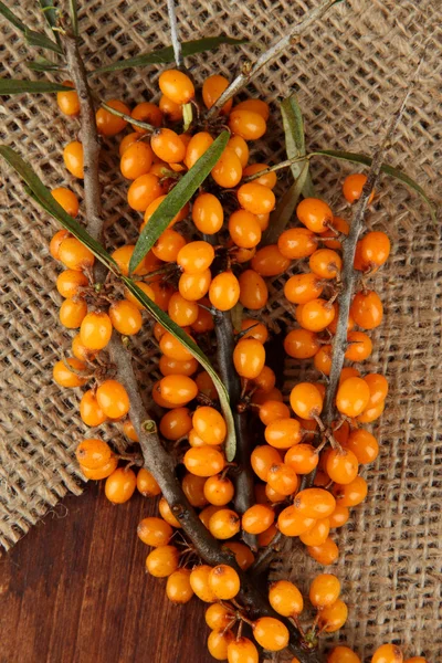 Branches of sea buckthorn with sackcloth on wooden background — Stock Photo, Image