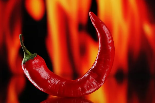 Red hot chili pepper on fire background — Stock Photo, Image