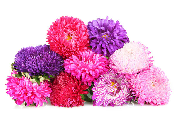 Яркие пасхальные цветы, изолированные на белом
