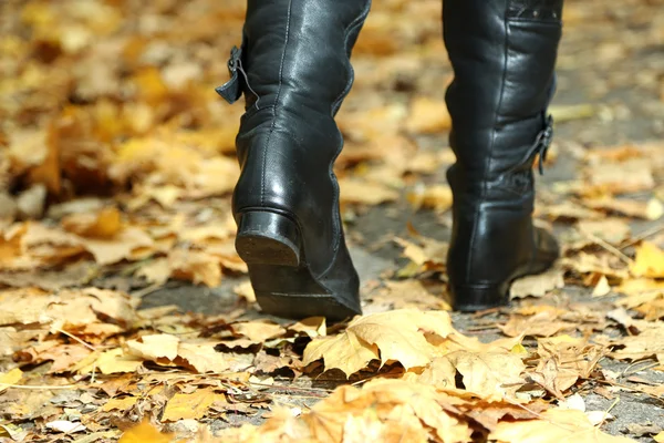 Jambes femelles sur fond de feuilles jaunes dans le parc — Photo