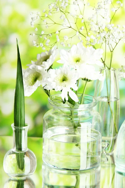 Plants in various glass containers on natural background — Stock Photo, Image