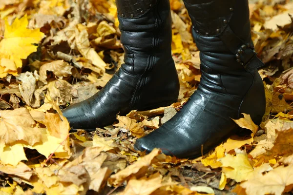 Женские ноги на фоне желтых листьев в парке — стоковое фото