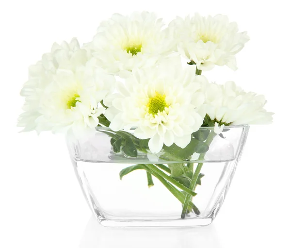 Beautiful flowers in bowl isolated on white — Stock Photo, Image